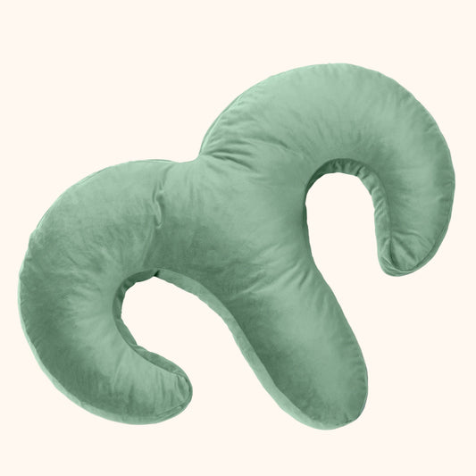 Sage Arie Duo Couples Pillow by Liberator against white background.